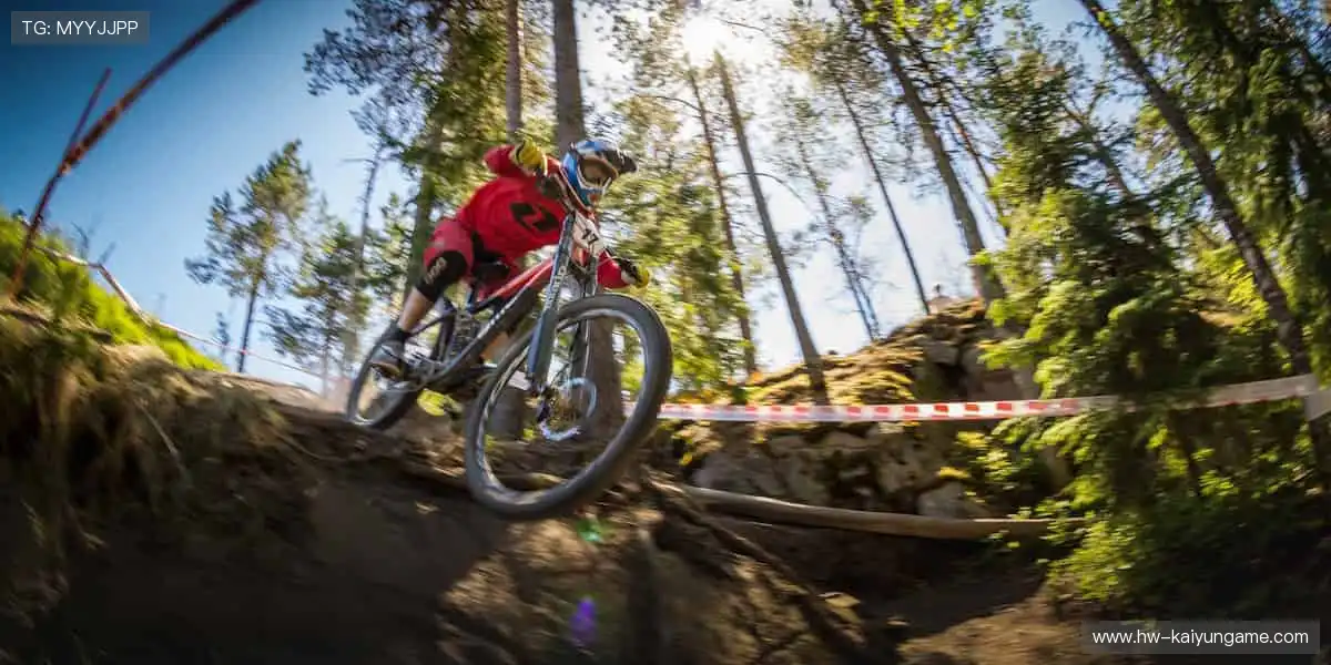 📺独家内容，随时回看！⏯️